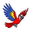 Cute macaw bird cartoon on white background