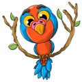 Cute macaw on a branch colorful drawing