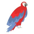 Cute macaw icon cartoon vector. Bird parrot