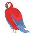 Cute macaw icon cartoon vector. Parrot bird