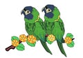 Cute Macaw Parrot Bird Love On Branch Art