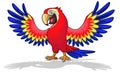 A cute of macaw or parrot cartoon bird  flapping its wings while smiling. Royalty Free Stock Photo