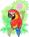 Cute macaw parrot sitting on branch, funny illustration