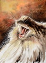 Maine Coon cat watercolors painted.