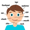 Cute male cartoon smiling boy with labels, infographic chart for kids isolated. Parts of the face english learning educational