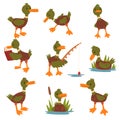 Cute Male Mallard Duck Set, Cute Funny Duckling Cartoon Character in Different Situations Vector Illustration