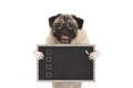 Cute male pug dog puppy holding up blank checklist on blackboard with check boxes drawn with chalk