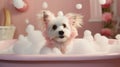 Cute Maltese dog taking a bath in a pink bathtub Royalty Free Stock Photo