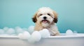 cute maltipoo dog bathing in a white bathtube, generative ai illustration