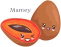 Cute mamey sticker kawaii character icon vector design. Adorable, cute charming cheerful face
