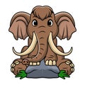 Cute mammoth cartoon on white background