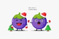 Cute mangosteen celebrates Christmas