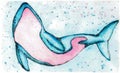 Cute marine orca character. Smiling spotted snout and long playful tail. Hand painted watercolor and ink graphic drawing