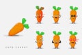 Cute mascot carrot set