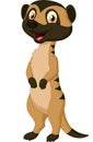 Cute meerkat cartoon