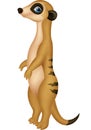 Cute meerkat cartoon Royalty Free Stock Photo