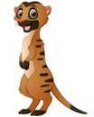 Cute meerkat cartoon Royalty Free Stock Photo