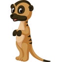 Cute meerkat cartoon Royalty Free Stock Photo