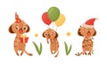 Cute Meerkat or Suricate with Brindled Coat Holding Gift Box and Tied with Balloon Bunch Vector Set