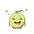 Cute melon character feel asleep isolated on white background. Melon character emoticon illustration