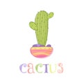 Cute mexican cactus in a pot vector illustration. Painted by hand Plant cactus logo isolated.