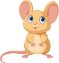 Cute Mice Royalty Free Stock Photo