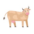 Cute milk cow vector flat illustration isolated on white background. Farm animal cow cartoon character. Royalty Free Stock Photo