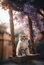 Kitten Dressed In Hanfu On Top Of A Swing In The Alley