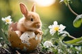 Cute miniature rabbit in egg shell with easter egg elements and spring flowers