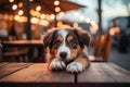 Cute Mixed Breed Puppy at Pet-Friendly Restaurant