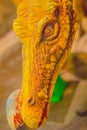 Cute model of Siamosaurus suteethorni dinosaur in the public mus