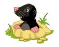 Cute Mole Cartoon Vector Illustration