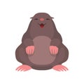 Cute mole, lovely animal cartoon character front view vector Illustration