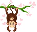 Cute mom monkey hanging in tree with little son on head Royalty Free Stock Photo