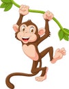 Cute monkey animal hanging on a vine