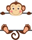 Cute monkey with blank signboard