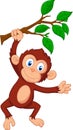 Cute monkey cartoon hanging