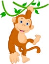 Cute monkey cartoon hanging