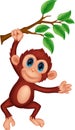 Cute monkey cartoon hanging
