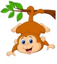 Cute monkey cartoon hanging on a tree branch Royalty Free Stock Photo