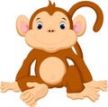 Cute monkey cartoon Royalty Free Stock Photo