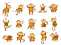Cute monkey. Cartoon wild animals in different poses, funny ape monkeys and primate character vector set Royalty Free Stock Photo