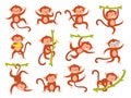 Cute monkey character. Funny jungle baby animal mascot in different poses, various emotion, exotic tropical playing