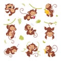 Cute monkey characters. Childish cartoon monkeys, isolated primates hang on vine in different poses. Wild tropical
