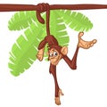 Cute Monkey Chimpanzee Hanging On Wood Branch Flat Bright Color Simplified Vector Illustration In Fun Cartoon Style Design.