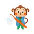 Cute monkey doctor holding toothbrush and brushing tooth, dental clinic illustration