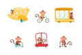 Cute Monkey Driving and Riding Transport Like Scooter and Bus Vector Set