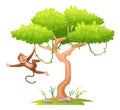 Cute monkey hanging on a tree Royalty Free Stock Photo