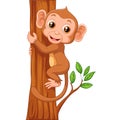 Cute monkey holding tree