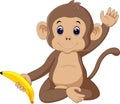 Cute monkey